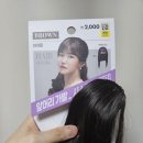 다이소 앞머리 후기 - 앞머리 자르고 싶을때 참는 방법 알려준다