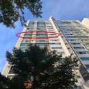 양지마을2로 이미지