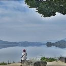 용담전기충전소 | 양평 두물머리 산책(두물머리 주차, 핫도그, 연꽃 개화상황)