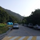 광산골식당 Daum카페