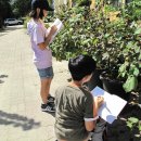 범계초등학교 이미지