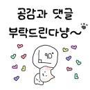 깔끔하개 이미지