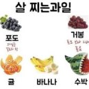 살찌는 과일 살안찌는 과일 종류별로 알아보기 이미지