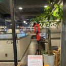 신월동249 이미지