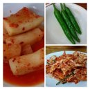 치바우뼈다귀