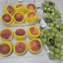 과일파티