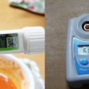 정이가떡볶이