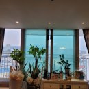 파라디아1차아파트 이미지