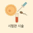 신선가 | 시험관 시술과정 (신선이식 VS 동결이식) - 인공주기 동결이식 후기