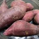 판다팜공도점 | 왜요 제가 티켓팅 고인물처럼 보이세요?