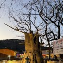 황토성참숯가마찜질방 이미지