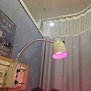 자화당한의원 이미지