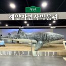 송현초등학교 정문 육교 아래 | 부산 해양자연사박물관 실내 관람 추천 실린이의 모험