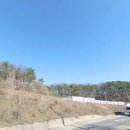 안성114공인중개사사무소 네이버블로그