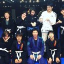 격투창고 MMA 이미지