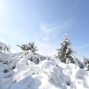 지리산바래봉 이미지