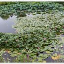 동국농장 이미지