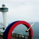 구덕산책로 숲길 이미지