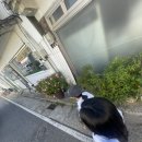 아산아랑여행 네이버블로그