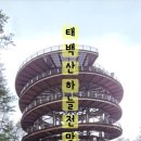 숲속공원놀이터 이미지