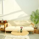 선렌탈스튜디오앤파티룸