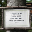 나와나타샤와흰당나귀 이미지