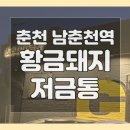 보쉬카서비스 춘천점 | 춘천 황금돼지저금통 GPB 힙한 MZ 돼지고기맛집