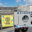 봉선 이미지