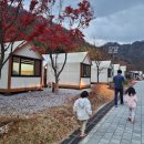 내장산국립공원 내장야영장 이미지