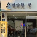 편안한댕 이미지