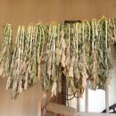 내나이가어때서 한의원 이미지