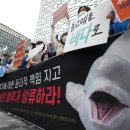 벨루가