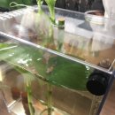 비제이팜 이미지