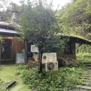 박터진흥부네 이미지