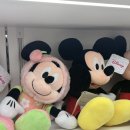 주식회사 쿨쿨 이미지