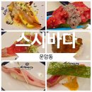 운암동 맛집 가성비 끝판왕 회전 초밥 스시바다 솔직후기