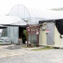 벧엘농장2 이미지