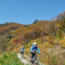 가을동화 이미지