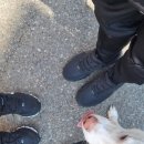 복주물약수터 화장실 | 봉구와 등산가기 실패! 복주물약수터에 다녀왔어요.