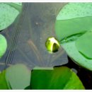 옥골농장 이미지