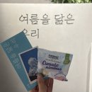 그라운드시소 한남 '성률 기획전' 후기 (할인 팁, 좋았던 점, 아쉬웠던 점)
