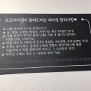 수원 영통 조조피어싱 후기 (별존, 귓볼끝점)