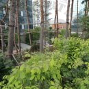 경일크리닝 이미지