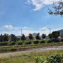 대청천L 이미지