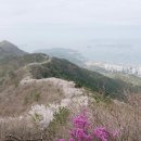 북부동 등산로 이미지