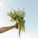 부산광역시 동구 조방로 | 부산 가성비 부케 봄봄플라워 드롭부케 내돈내산 재구매 후기｜스냅촬영 소품