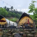 동일안전 | 포천 글램핑 노블 글램핑 깔끔하고 수영장 있어 놀기 좋은곳