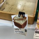 제주담투어 | [제주 소색채본] 유채꽃 만개한 산방산 뷰 카페 추천👍🏻 내돈내산 빵 맛집 제주 투어패스 이용 후기