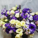 예담산부인과산후조리원 이미지