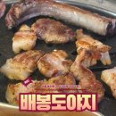 배봉도야지 이미지